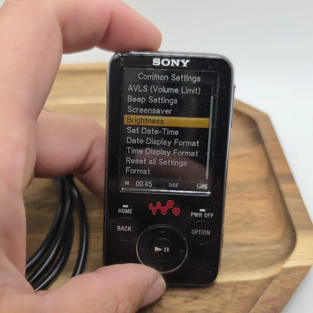 Sony Walkman NWZ-E436F 4GB Digital Media MP3 Player Black Tested Works USB